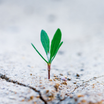 Formation professionnelle des indépendants : tout savoir