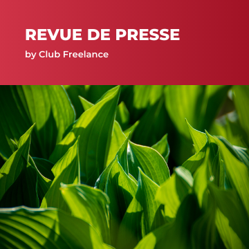 Green IT : notre sélection d&rsquo;articles